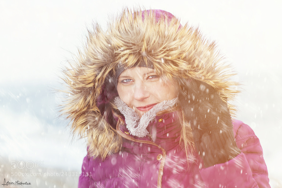 Nikon D600 sample photo. Snowy cold day photography