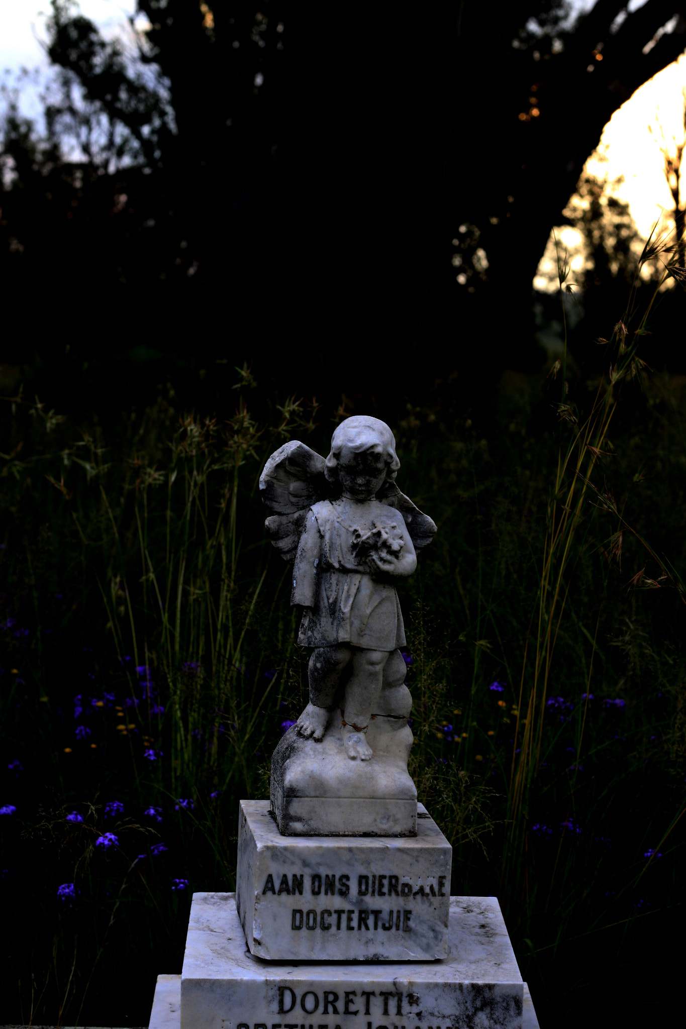 Canon EOS 500D (EOS Rebel T1i / EOS Kiss X3) sample photo. Little angel photography