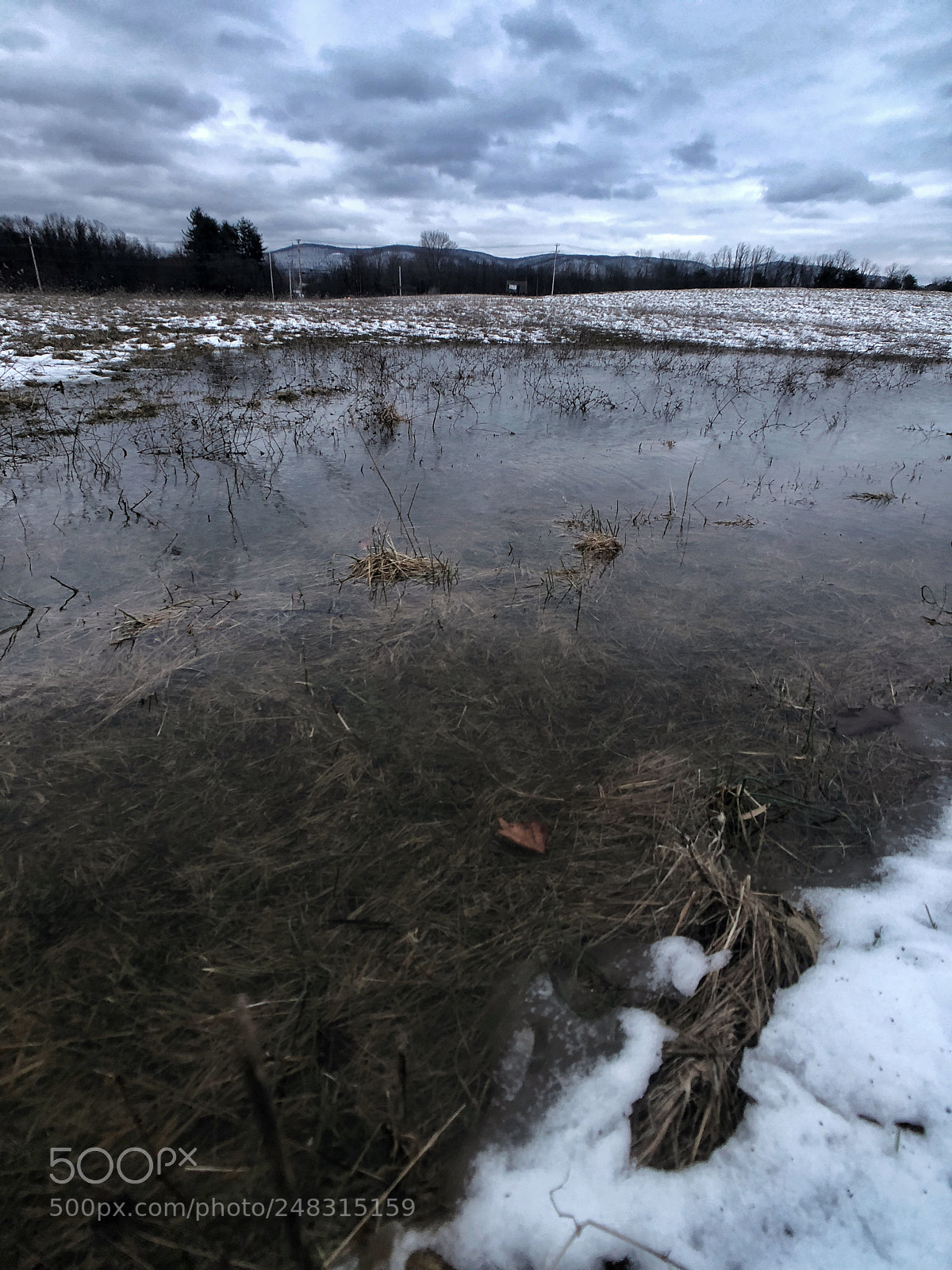 Apple iPhone 8 Plus sample photo. Amazing winter photography