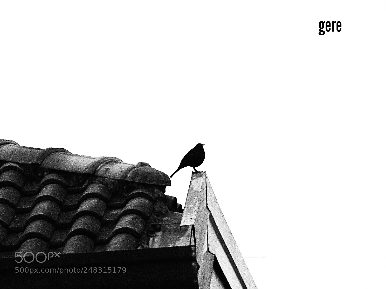 Panasonic DMC-FZ72 sample photo. Silhouette photography