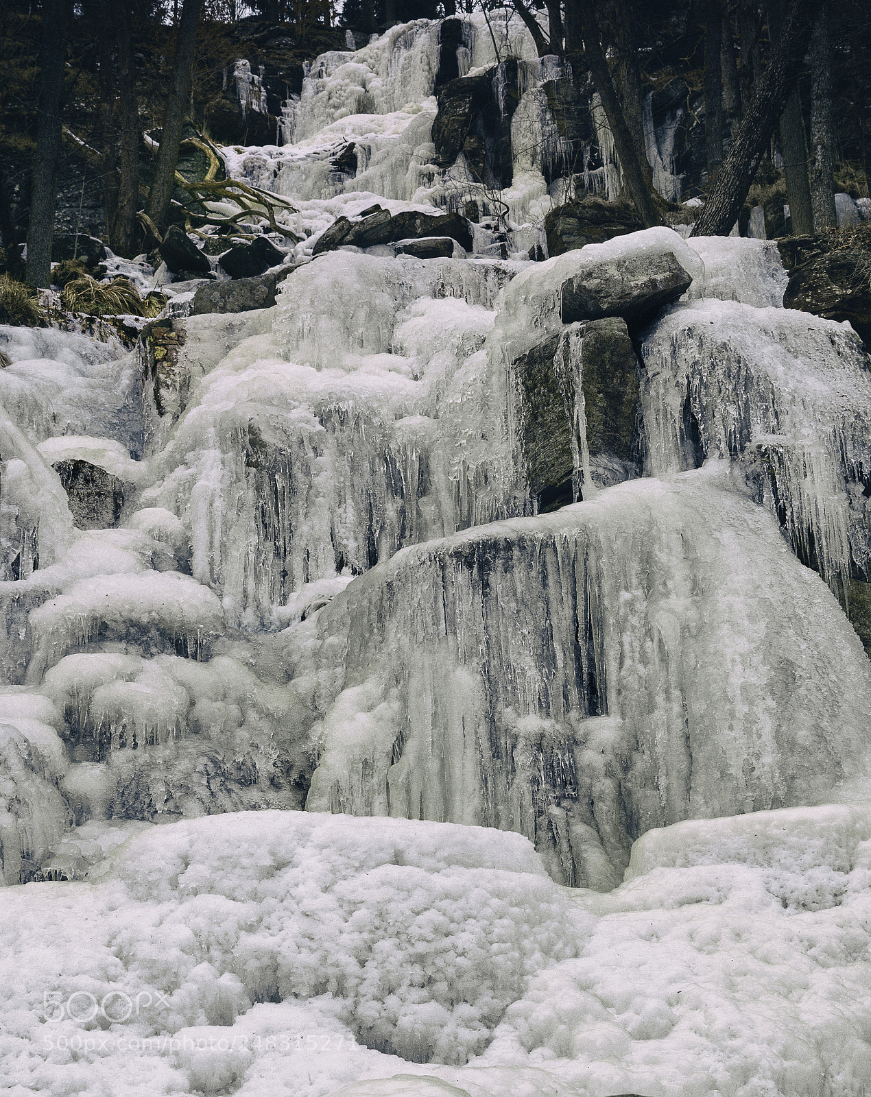 Nikon D7100 sample photo. Frozen photography