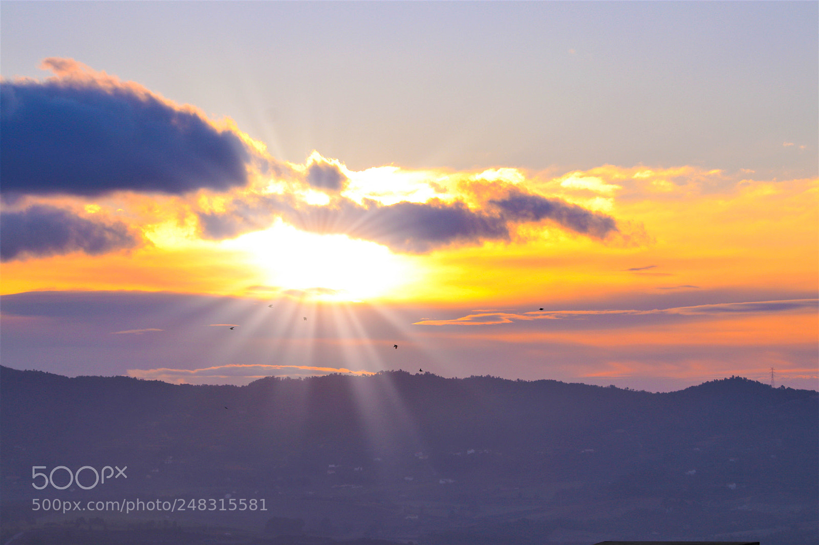 Canon EOS 80D sample photo. First rays of sun photography