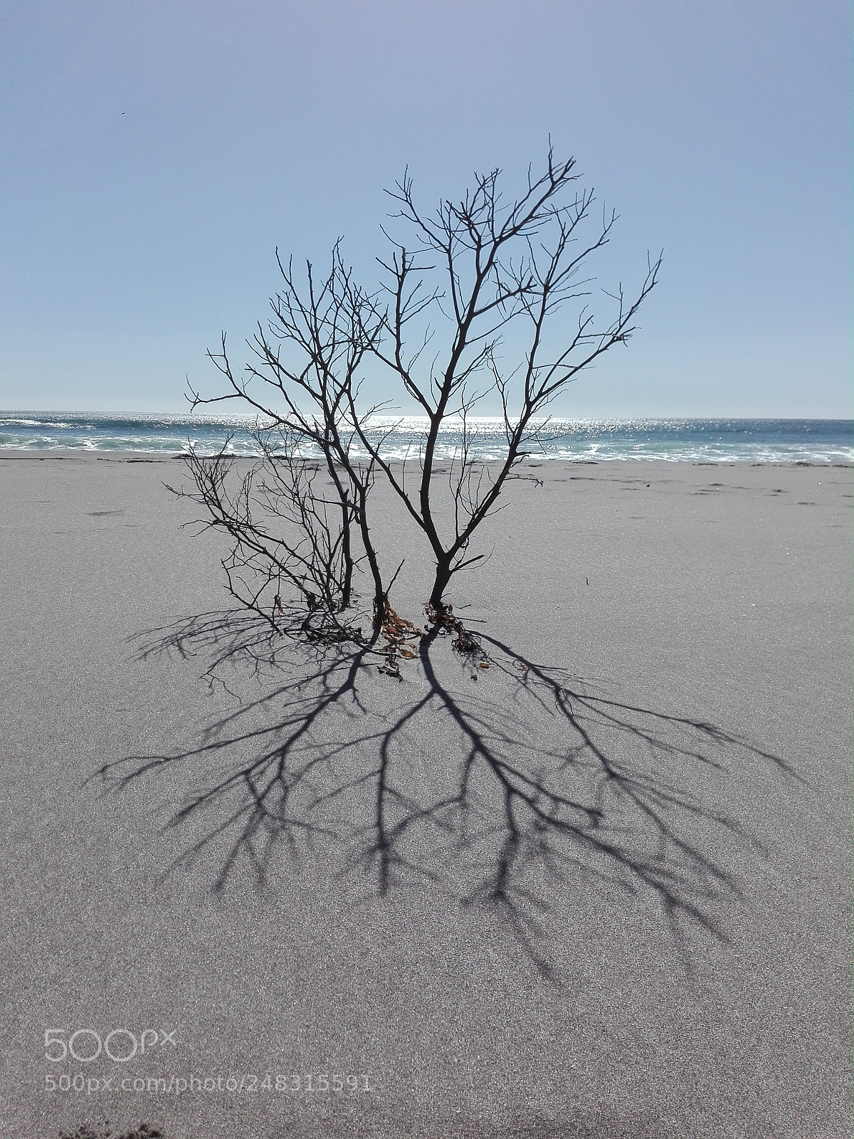 HUAWEI Y6II sample photo. Playa de chaihu n photography