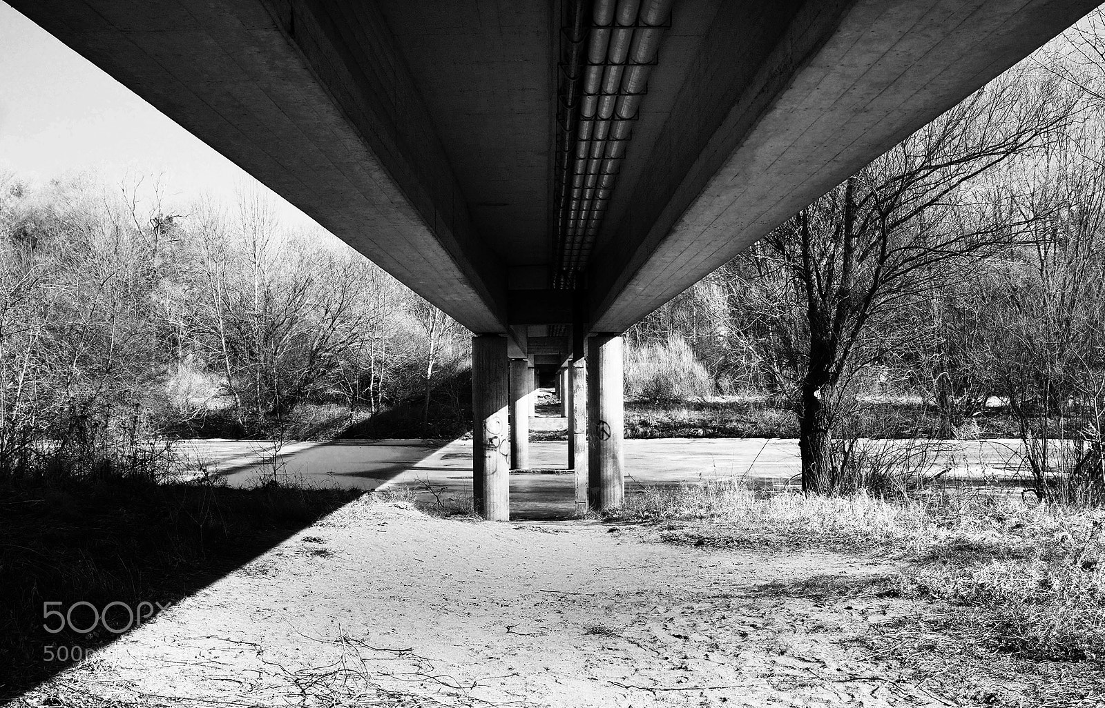 Olympus OM-D E-M1 sample photo. Bridge over frozen water photography