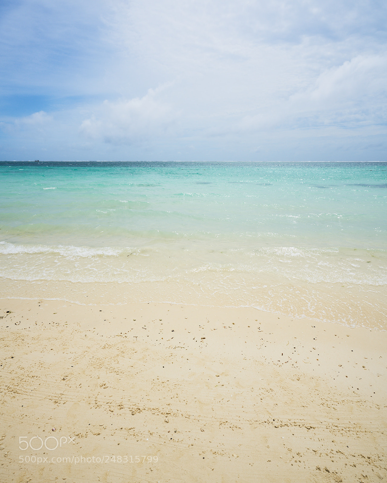 Sony a7R II sample photo. Day sixty four photography
