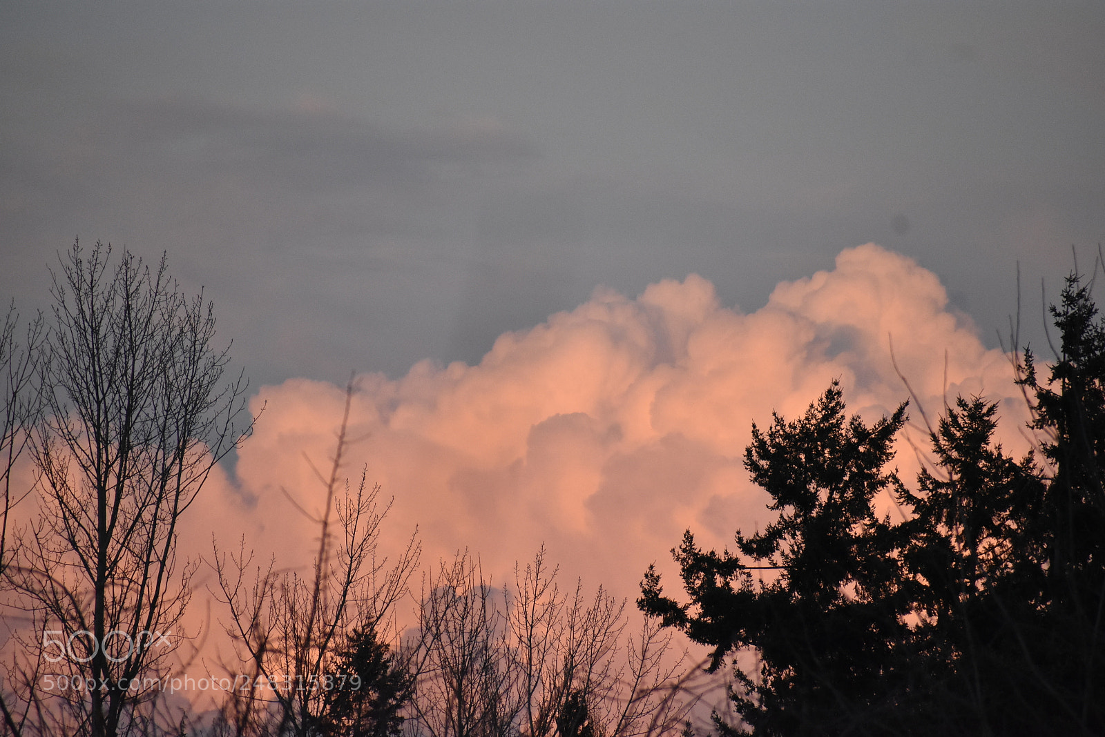 Nikon D3400 sample photo. A sunset in tacoma photography