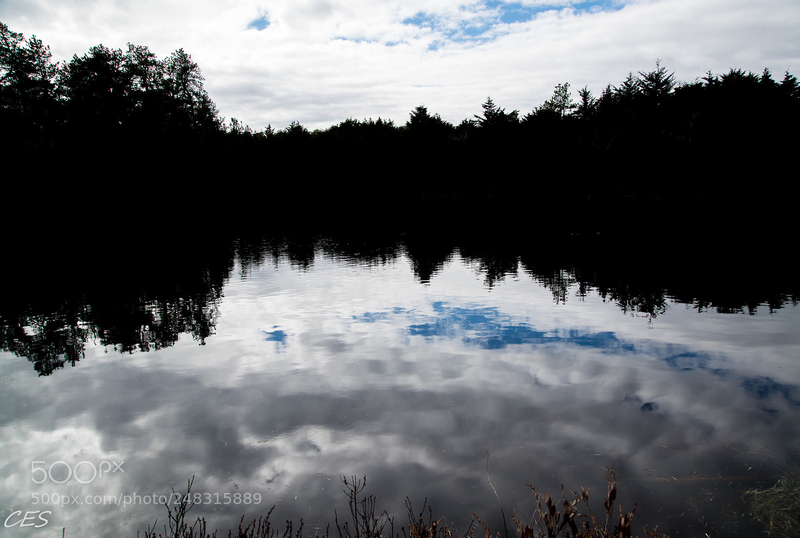 Nikon D850 sample photo. Silhouette photography
