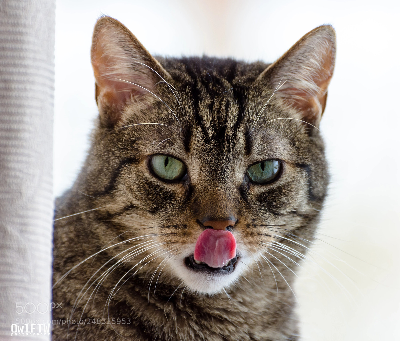 Nikon D7200 sample photo. :p photography