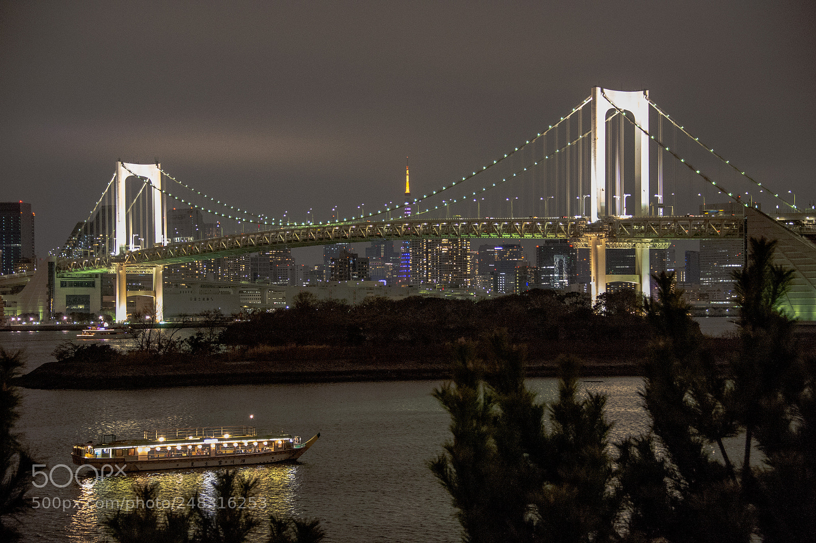 Nikon D4 sample photo. Tokyo bay by night photography