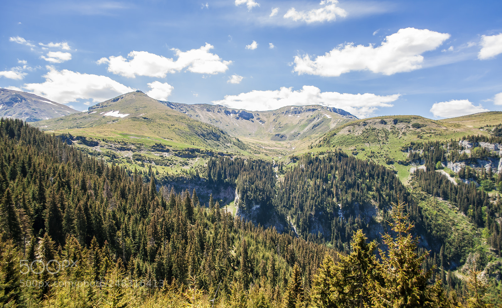 Nikon D5000 sample photo. Deep into the wild photography