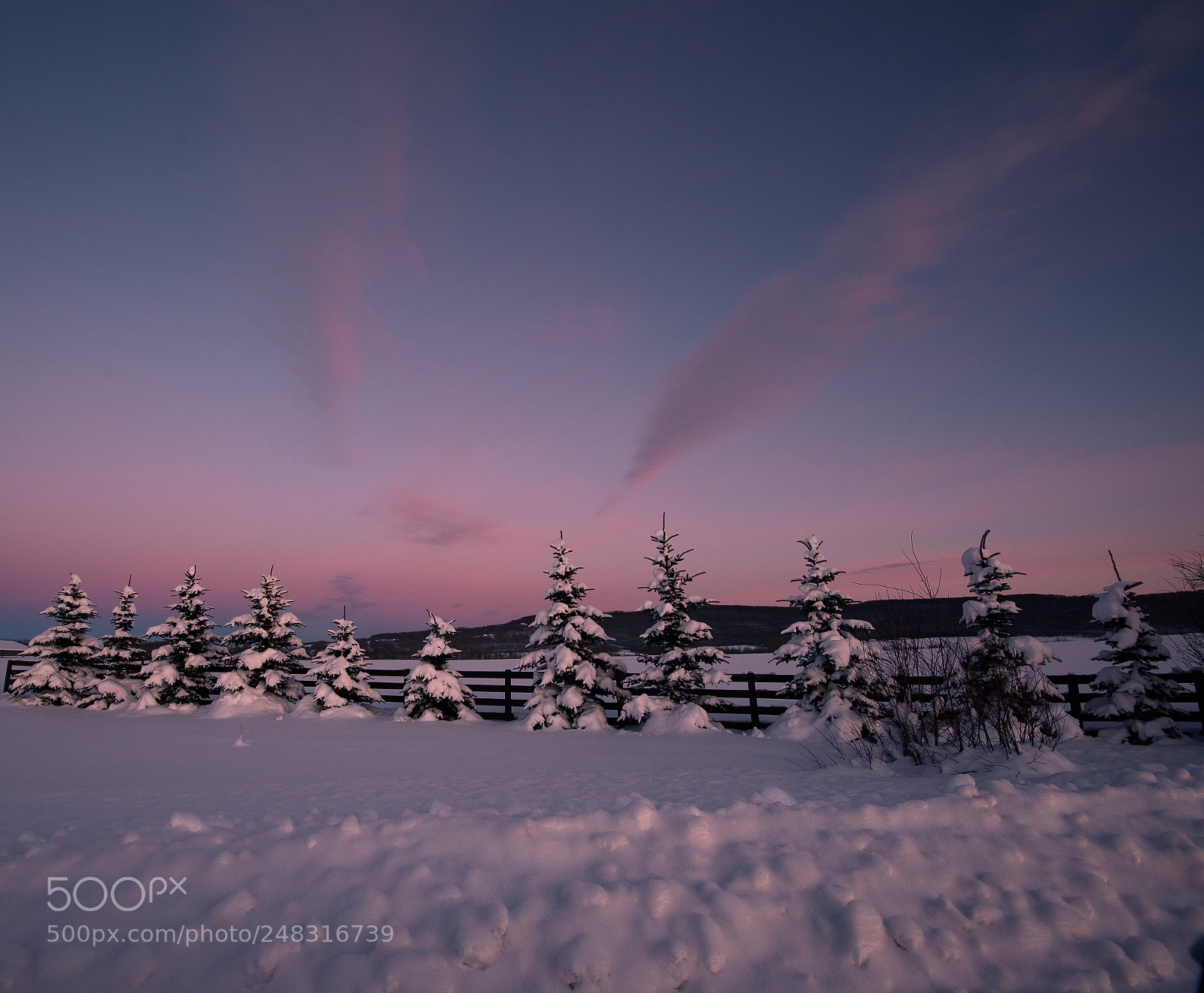 Nikon D610 sample photo. Winterscape near home photography