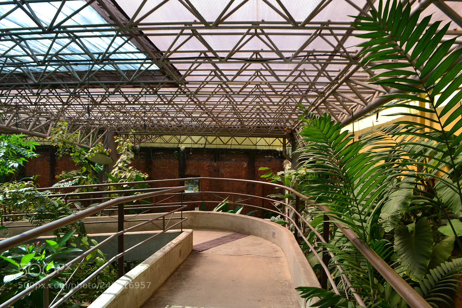 Nikon D3100 sample photo. The inside photography
