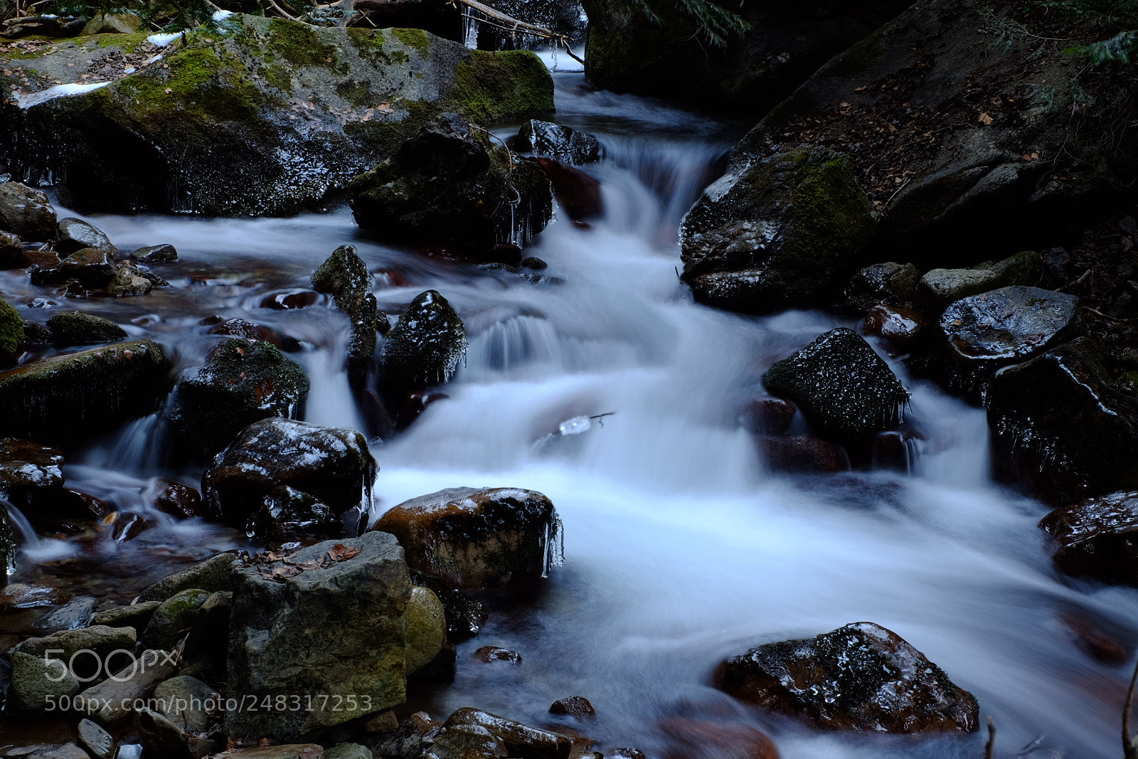 Fujifilm X-T10 sample photo. Cold water (ii) photography