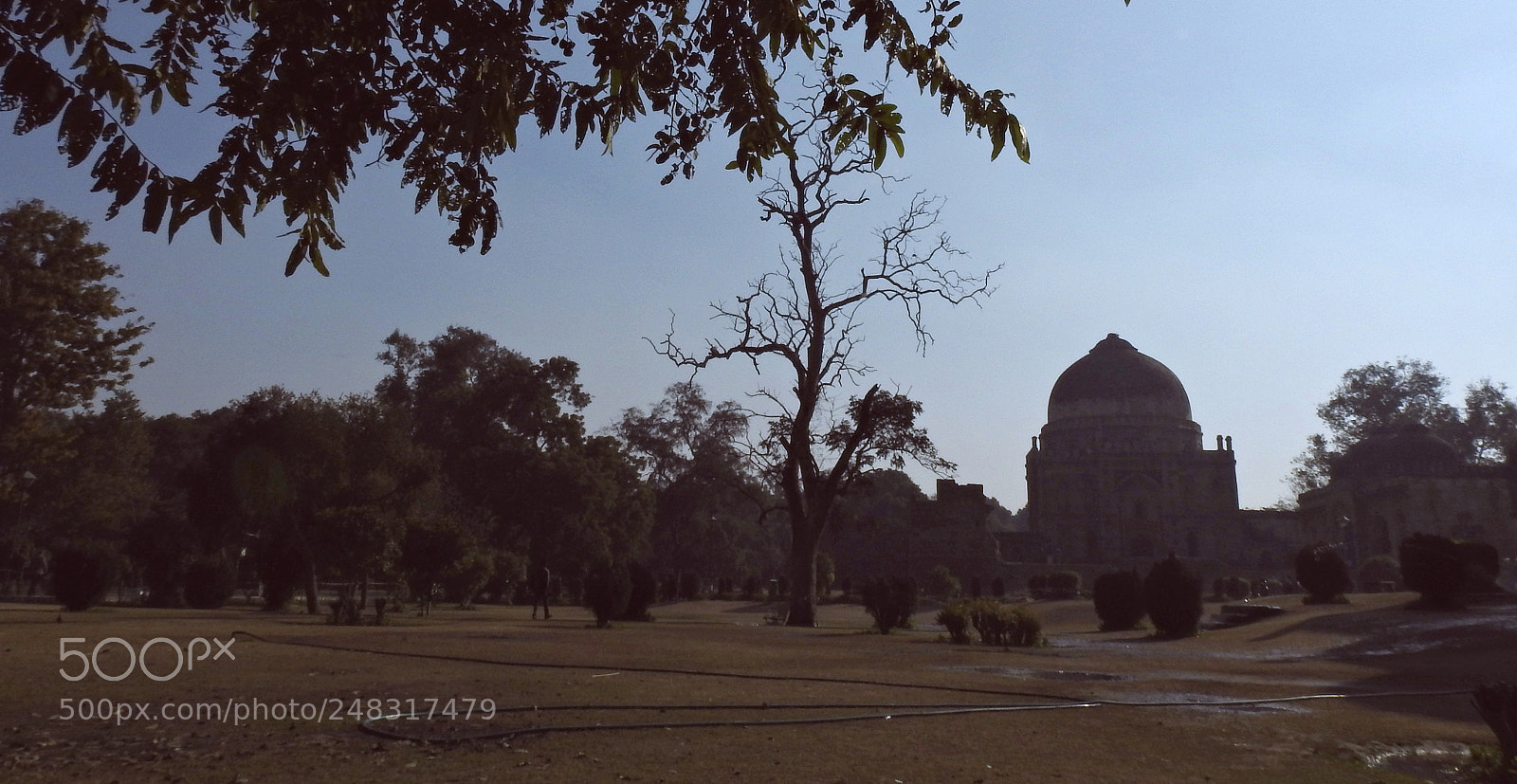 Nikon Coolpix P900 sample photo. Serenity at lodi gardens! photography