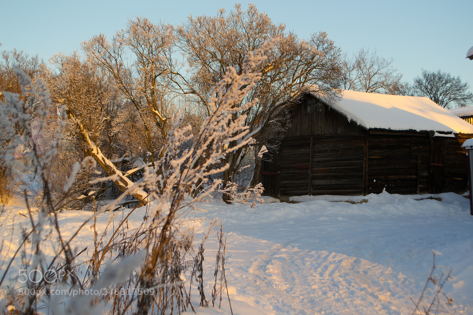 Nikon D3100 sample photo. Forgotten house photography