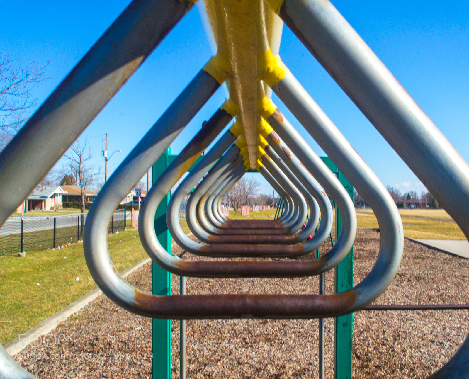 Nikon D3100 sample photo. Park photography