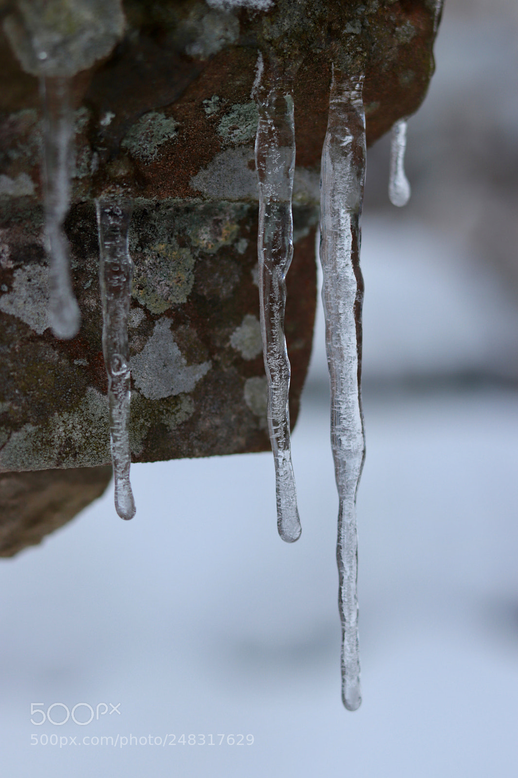 Canon EOS 800D (EOS Rebel T7i / EOS Kiss X9i) sample photo. Icicles and stone photography