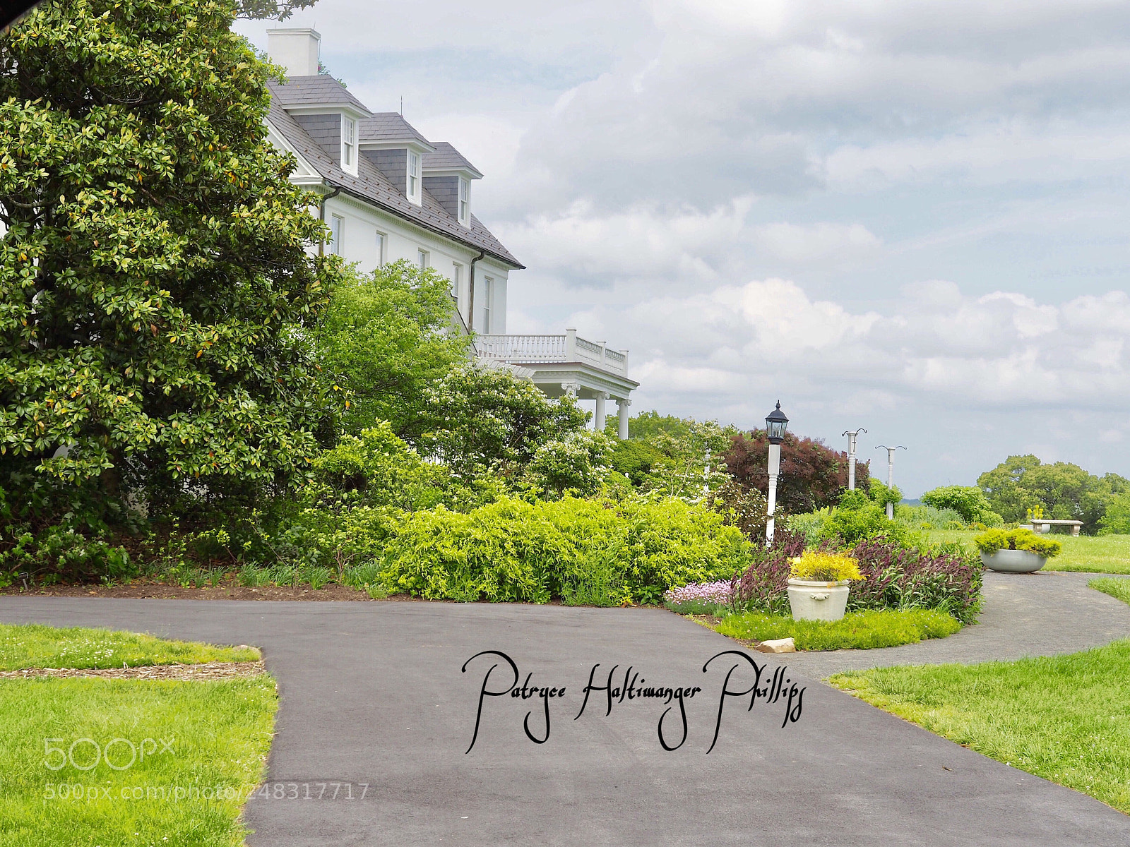 Olympus OM-D E-M10 II sample photo. River farm garden photography