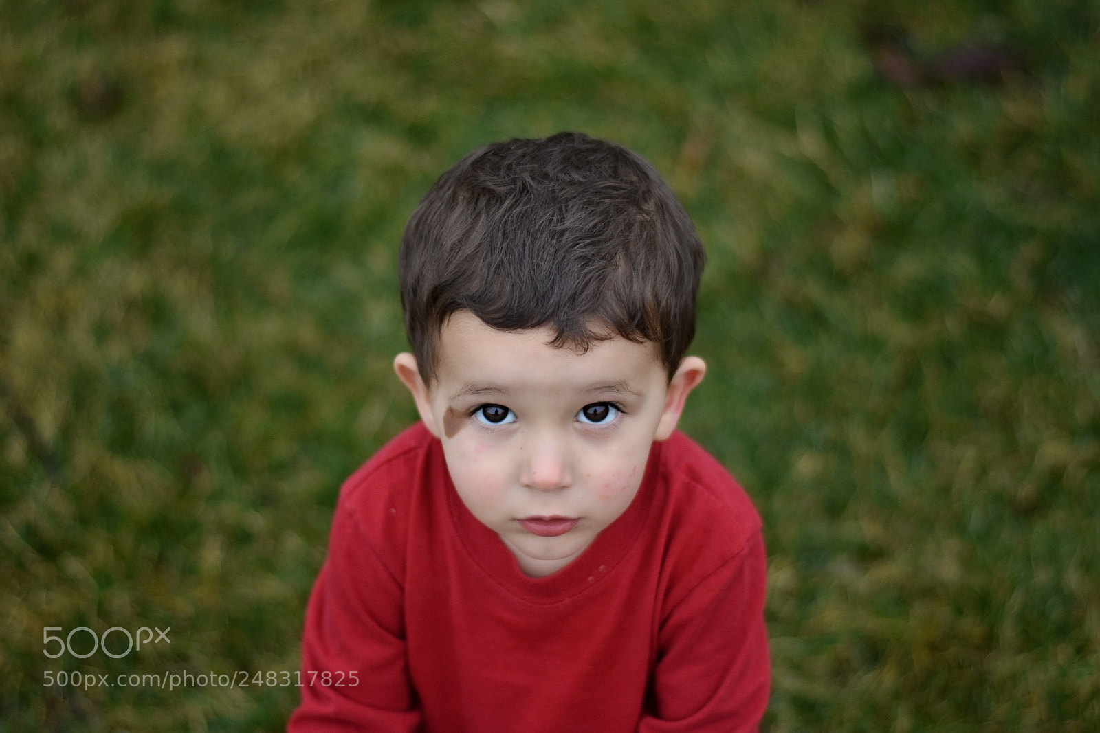 Nikon D3400 sample photo. Curious boy photography
