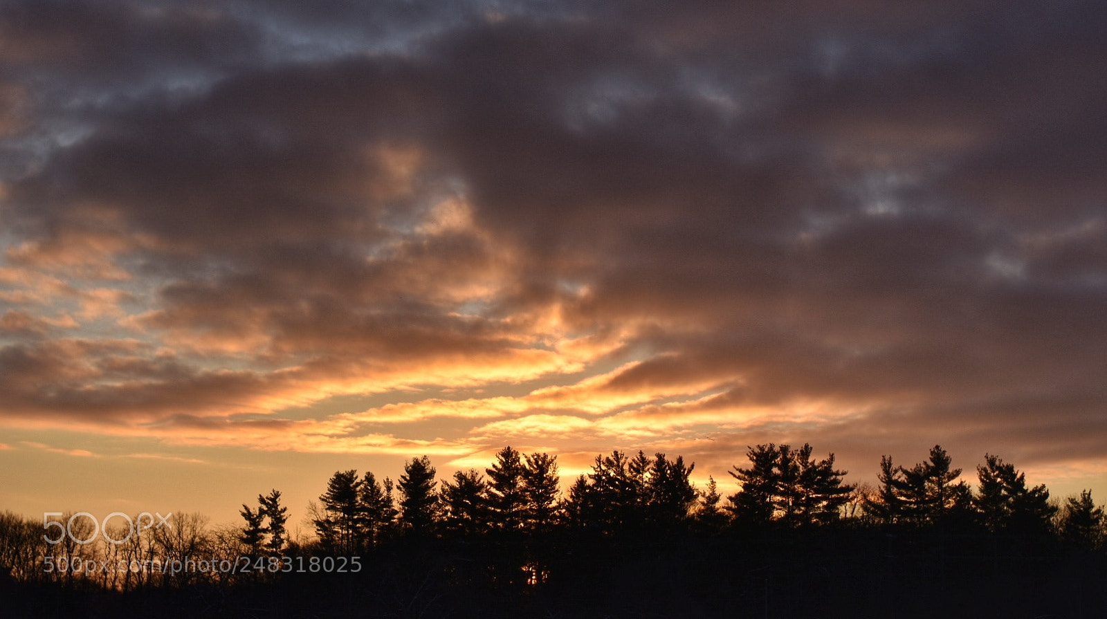 Nikon D3400 sample photo. Sky on fire photography