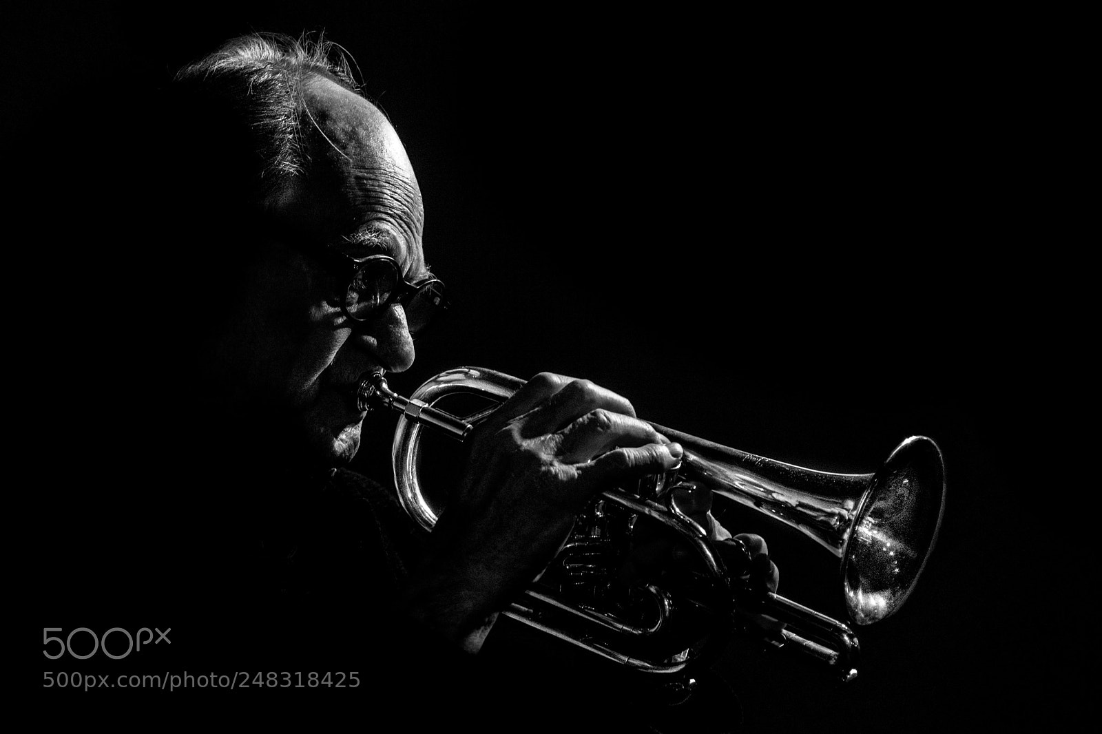 Nikon D850 sample photo. Jazz photography