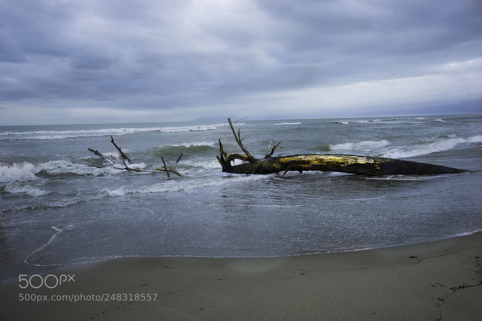 Sony a7 II sample photo. Vecchiano quattro photography