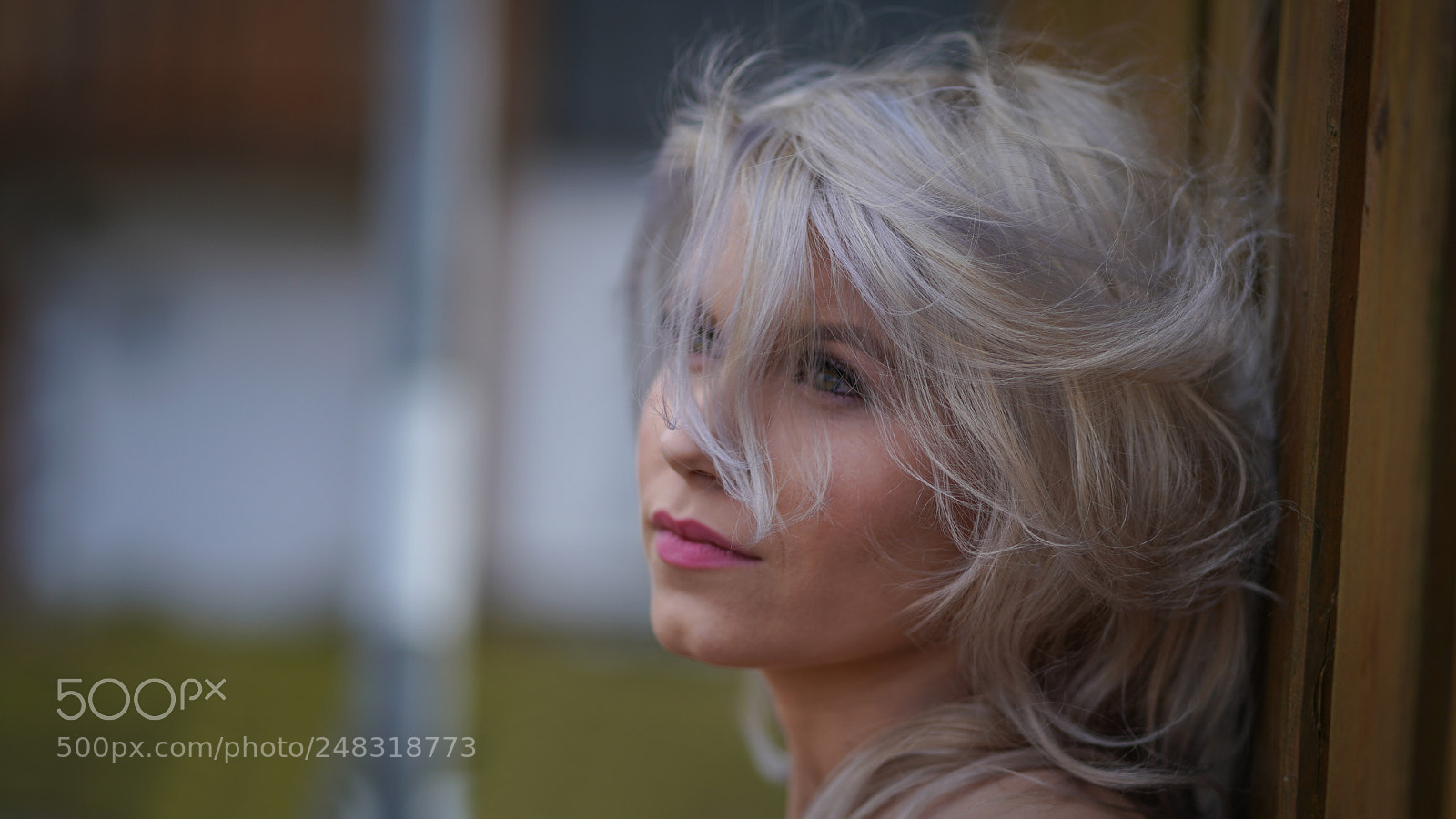 Sony a7R III sample photo. Blondie photography