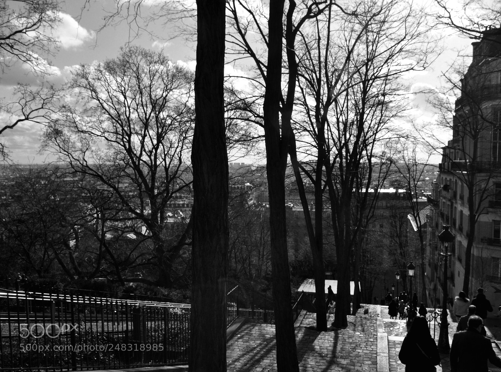 Nikon D5000 sample photo. Grey view photography