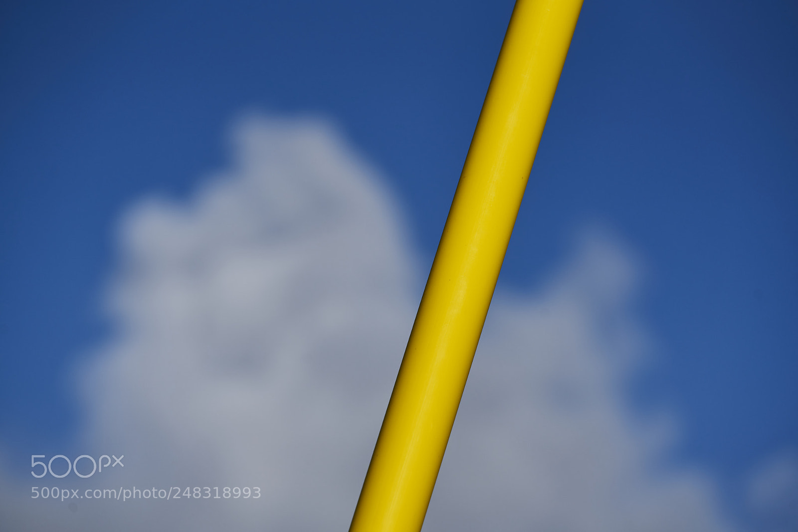 Sony a7R II sample photo. Complementary colours ii photography