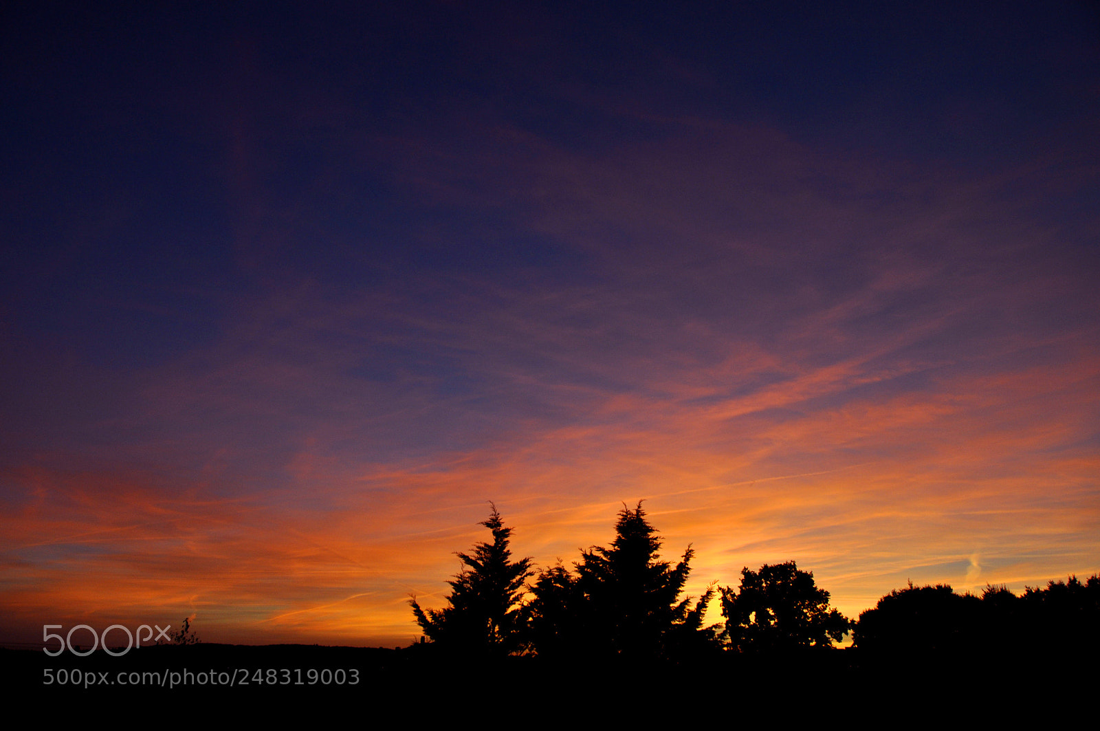 Nikon D5000 sample photo. Bloody sky photography