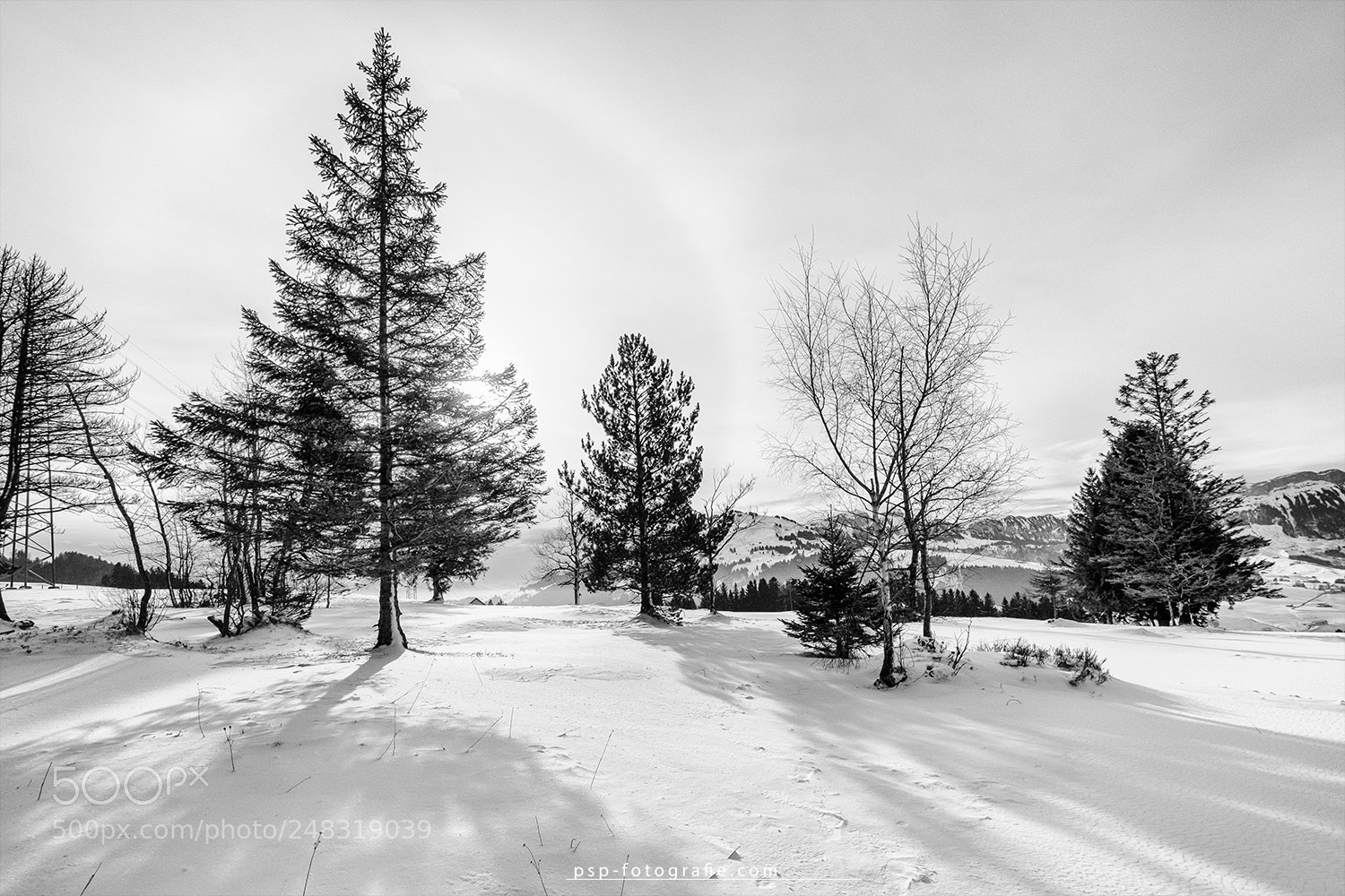Fujifilm X-T10 sample photo. ...  winter ... photography