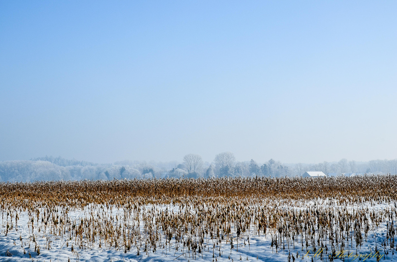 Nikon D5100 sample photo. Ein sch ner land photography
