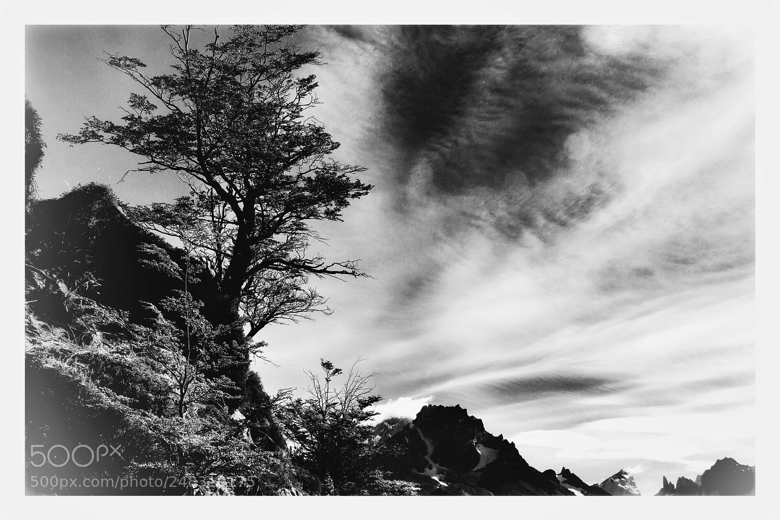 Nikon D500 sample photo. Patagonia in chile photography