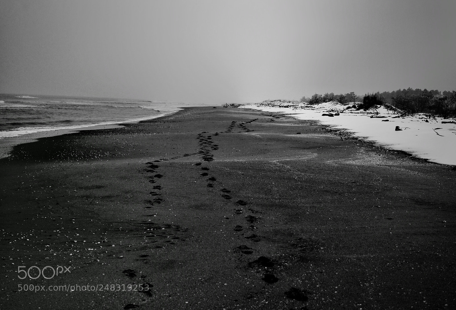 Sony SLT-A58 sample photo. Footprints towards ... photography