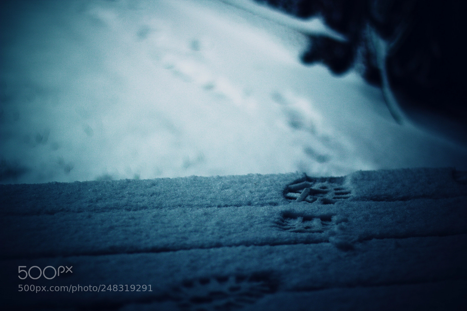 Canon EOS 600D (Rebel EOS T3i / EOS Kiss X5) sample photo. Footsteps in the snow photography