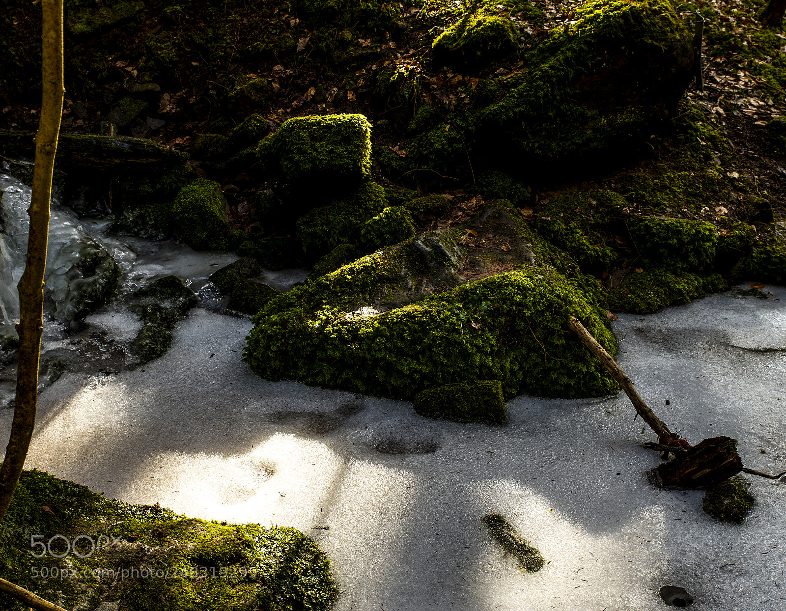 Nikon D4 sample photo. Frozen canyon - three photography