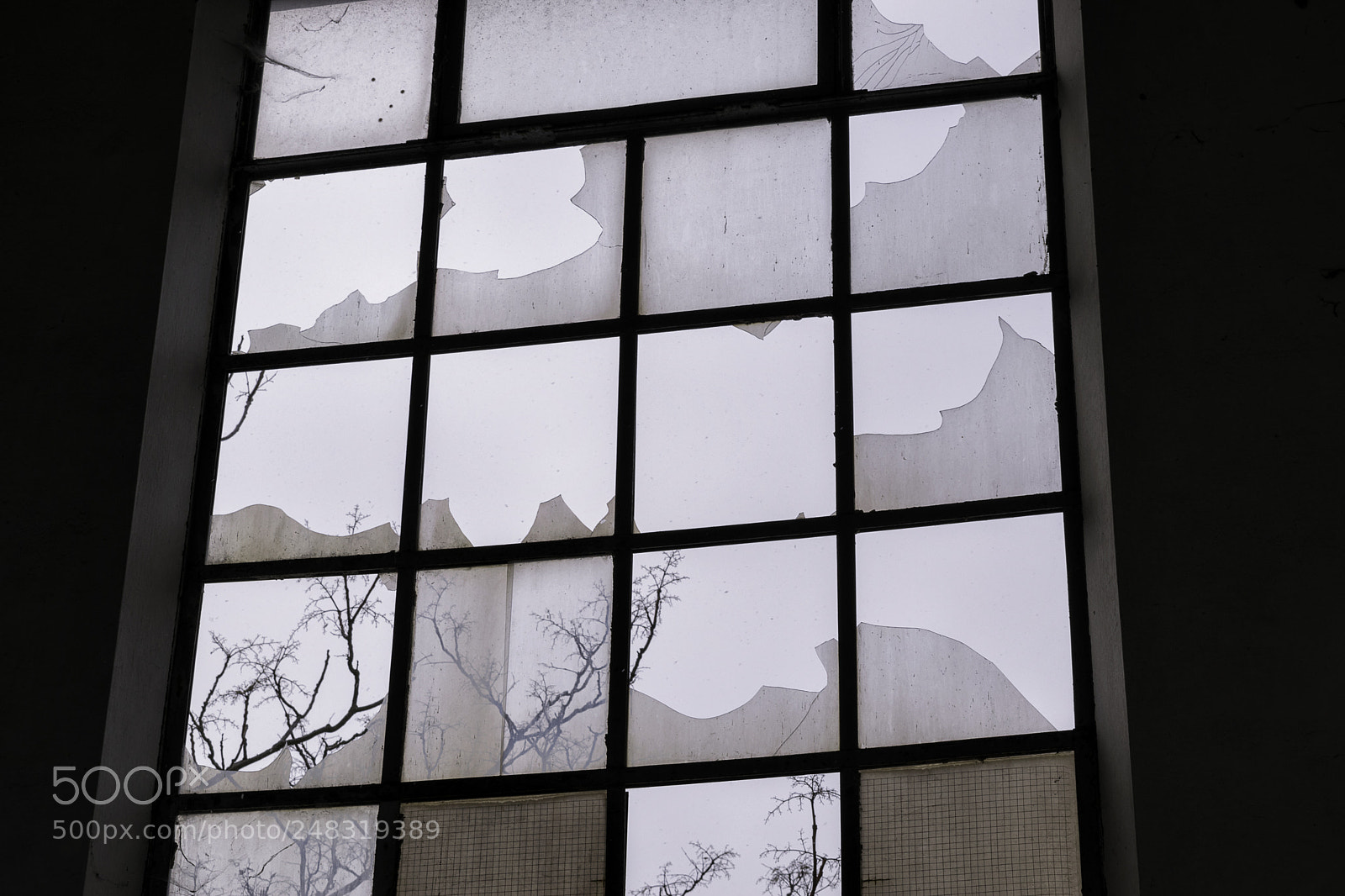 Nikon D5300 sample photo. Broken window photography