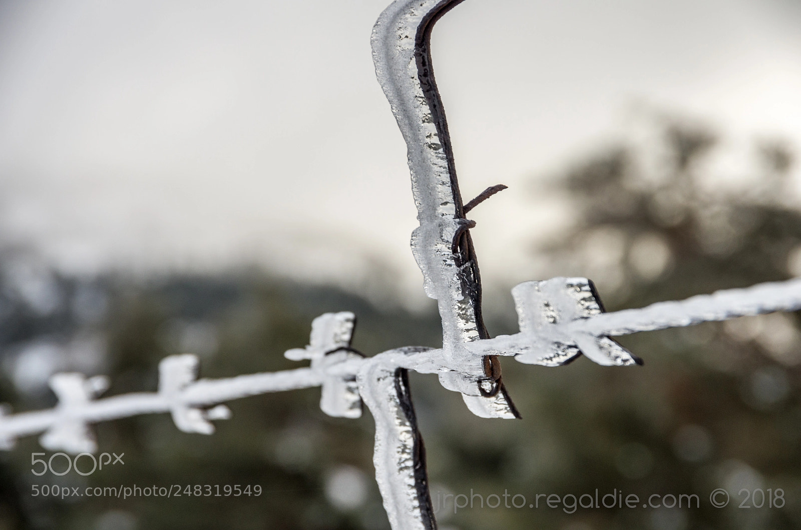 Pentax K-5 sample photo. Four parts photography