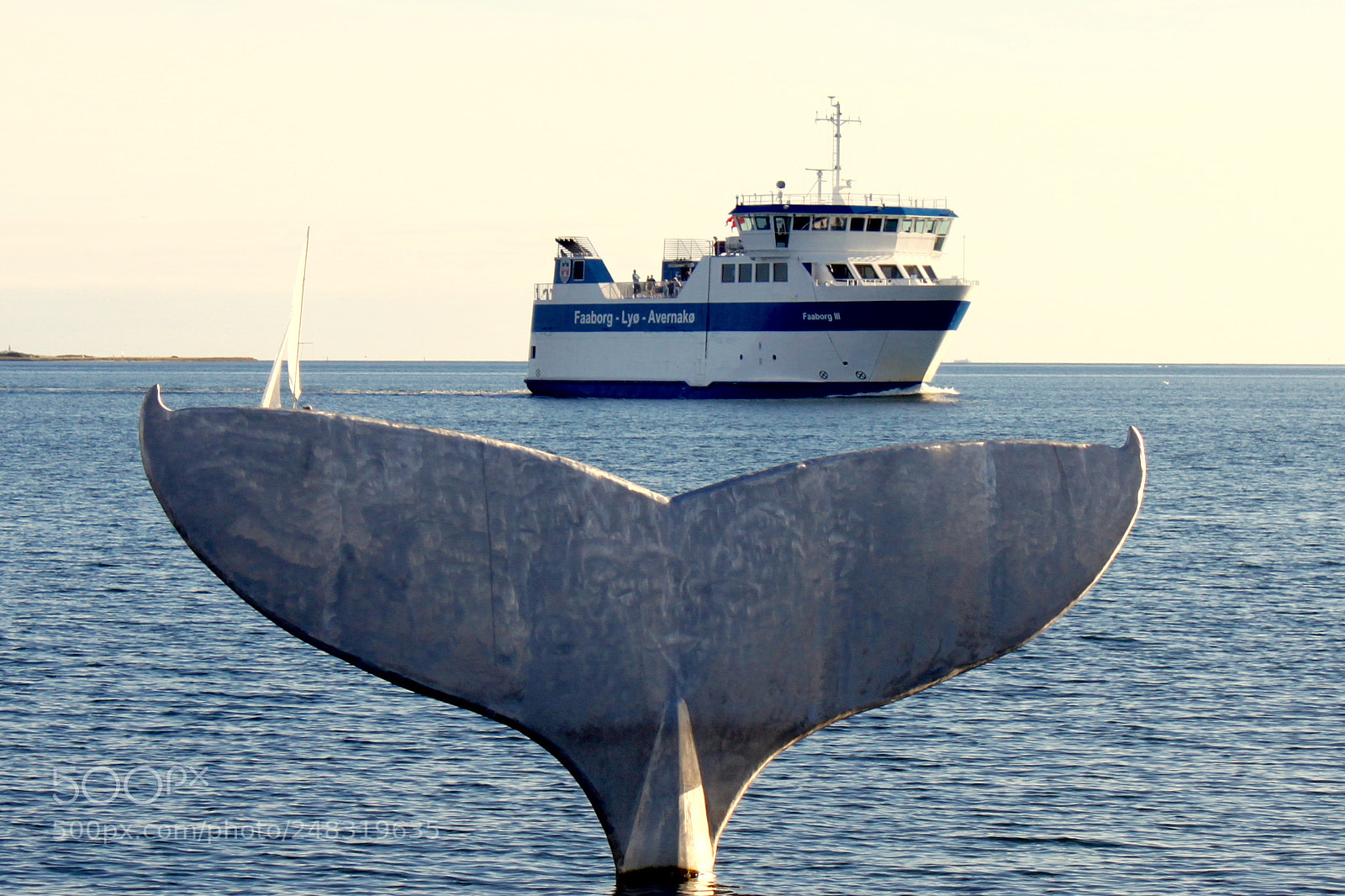 Canon EOS 500D (EOS Rebel T1i / EOS Kiss X3) sample photo. 'whale' diving under ferry? photography
