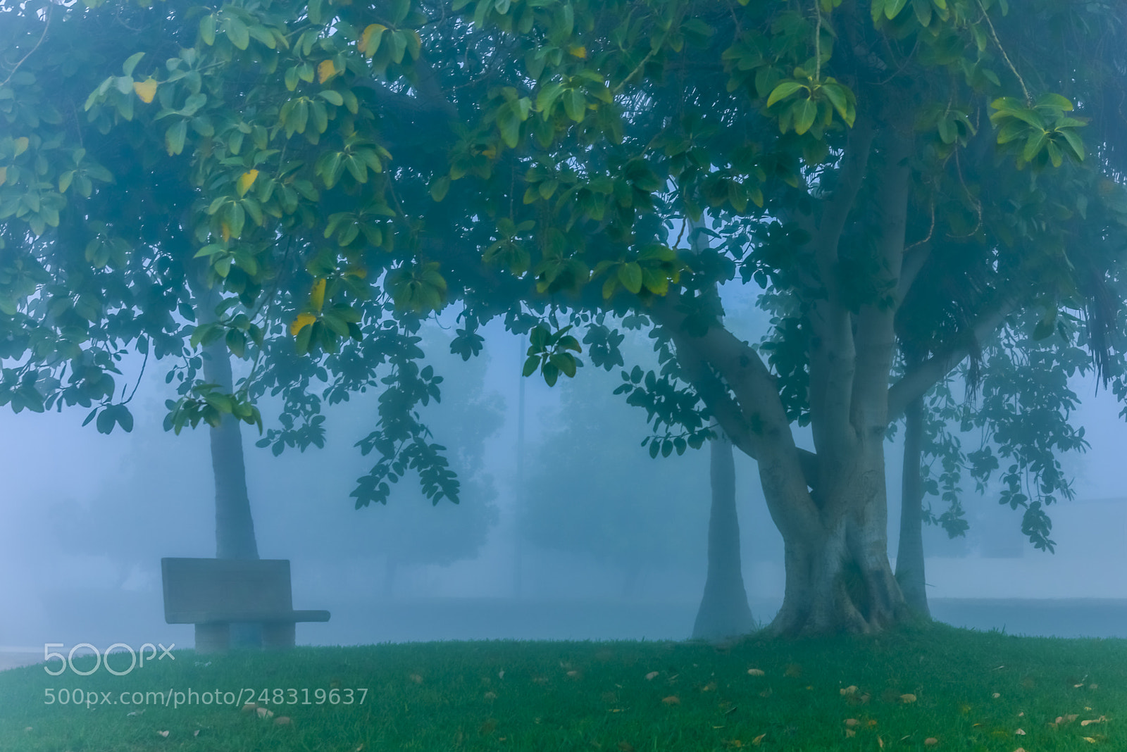 Nikon D810 sample photo. The place is still photography