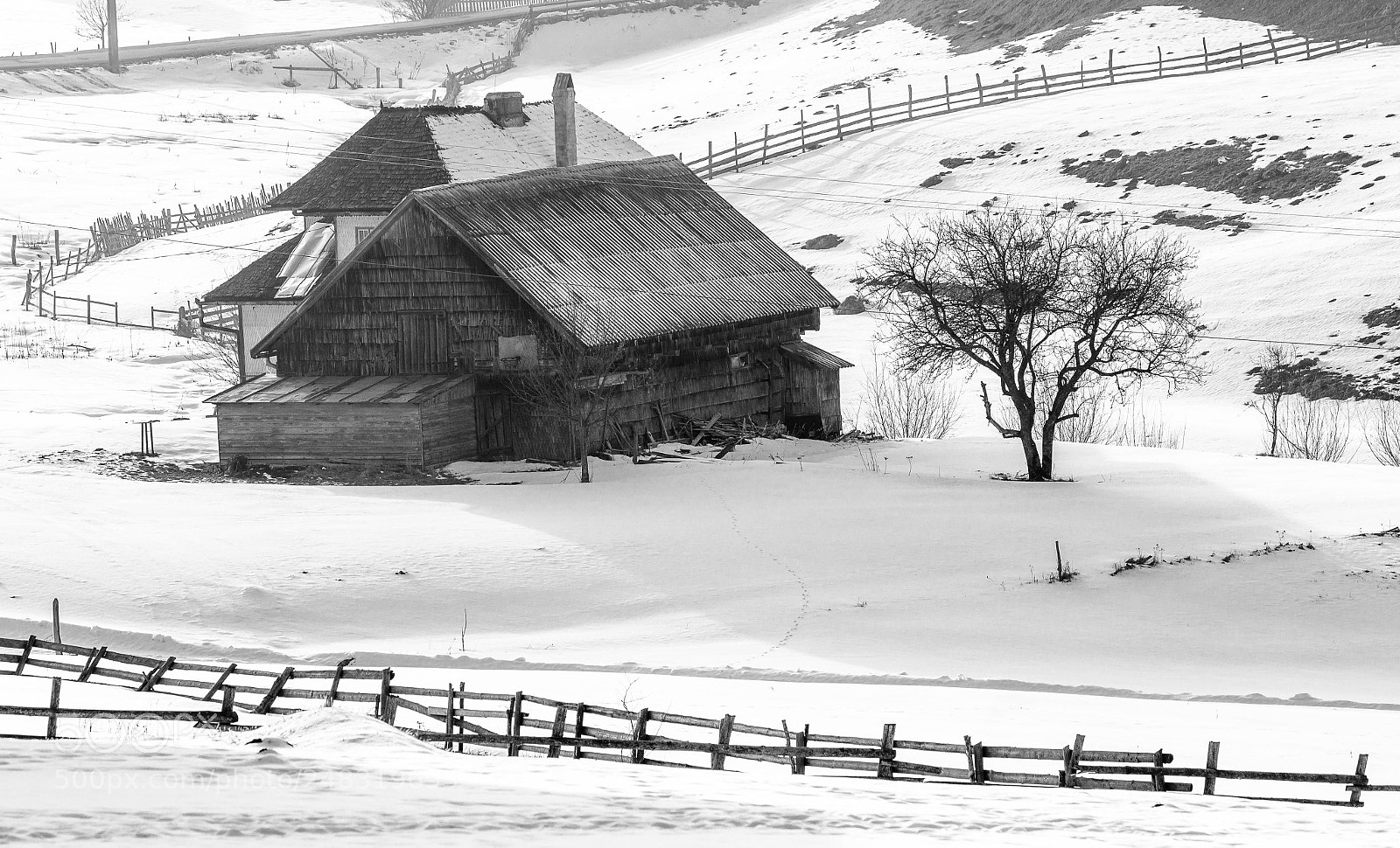 Canon EOS 1200D (EOS Rebel T5 / EOS Kiss X70 / EOS Hi) sample photo. Rural life photography