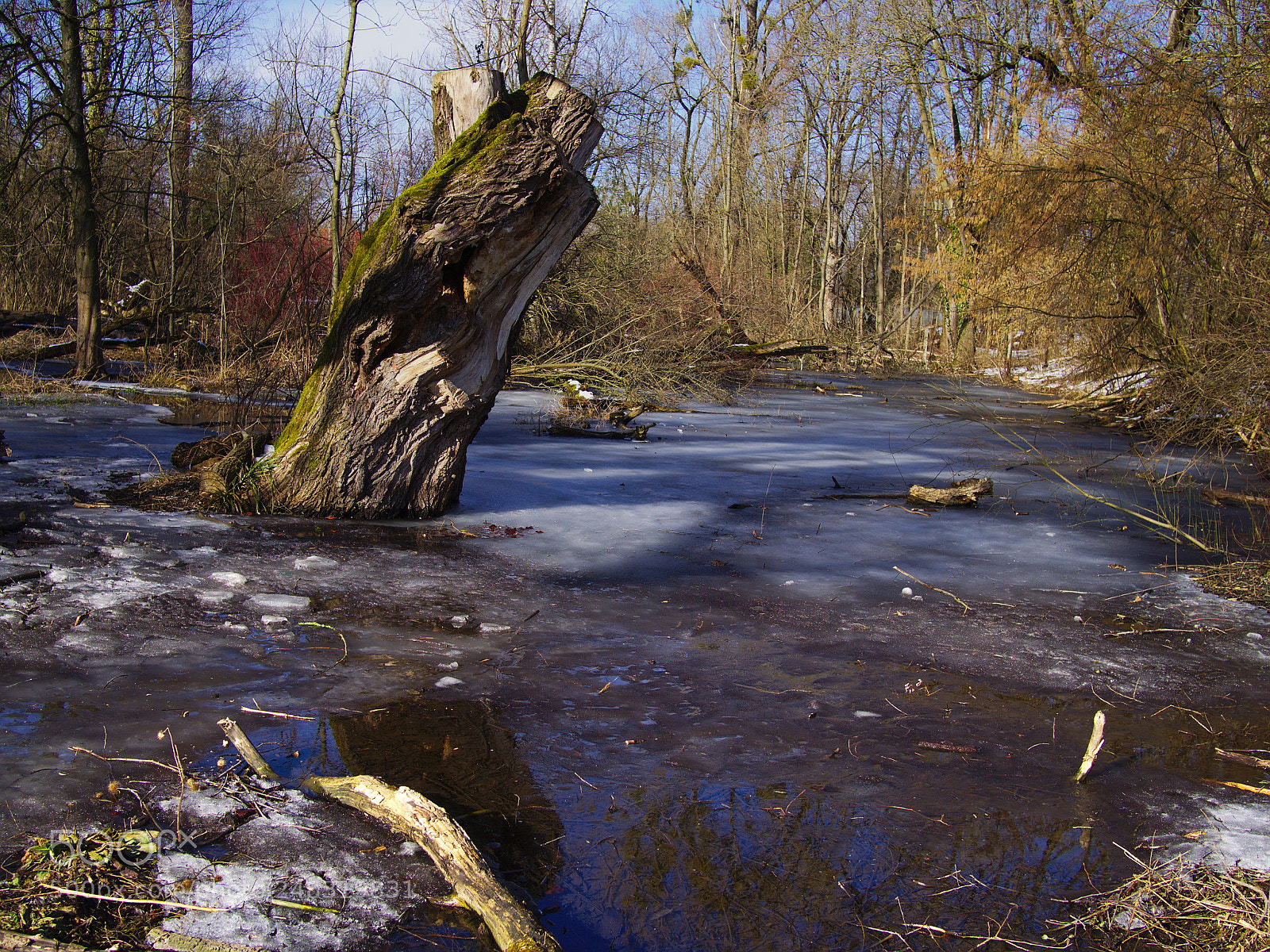 Olympus PEN E-PL5 sample photo. Ice on lake photography