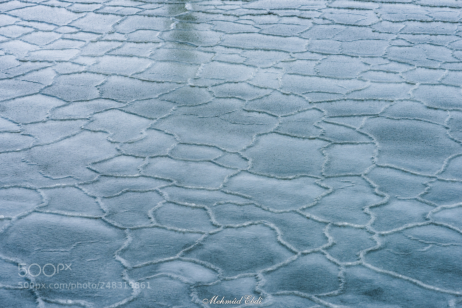 Nikon D810 sample photo. The ice age! photography