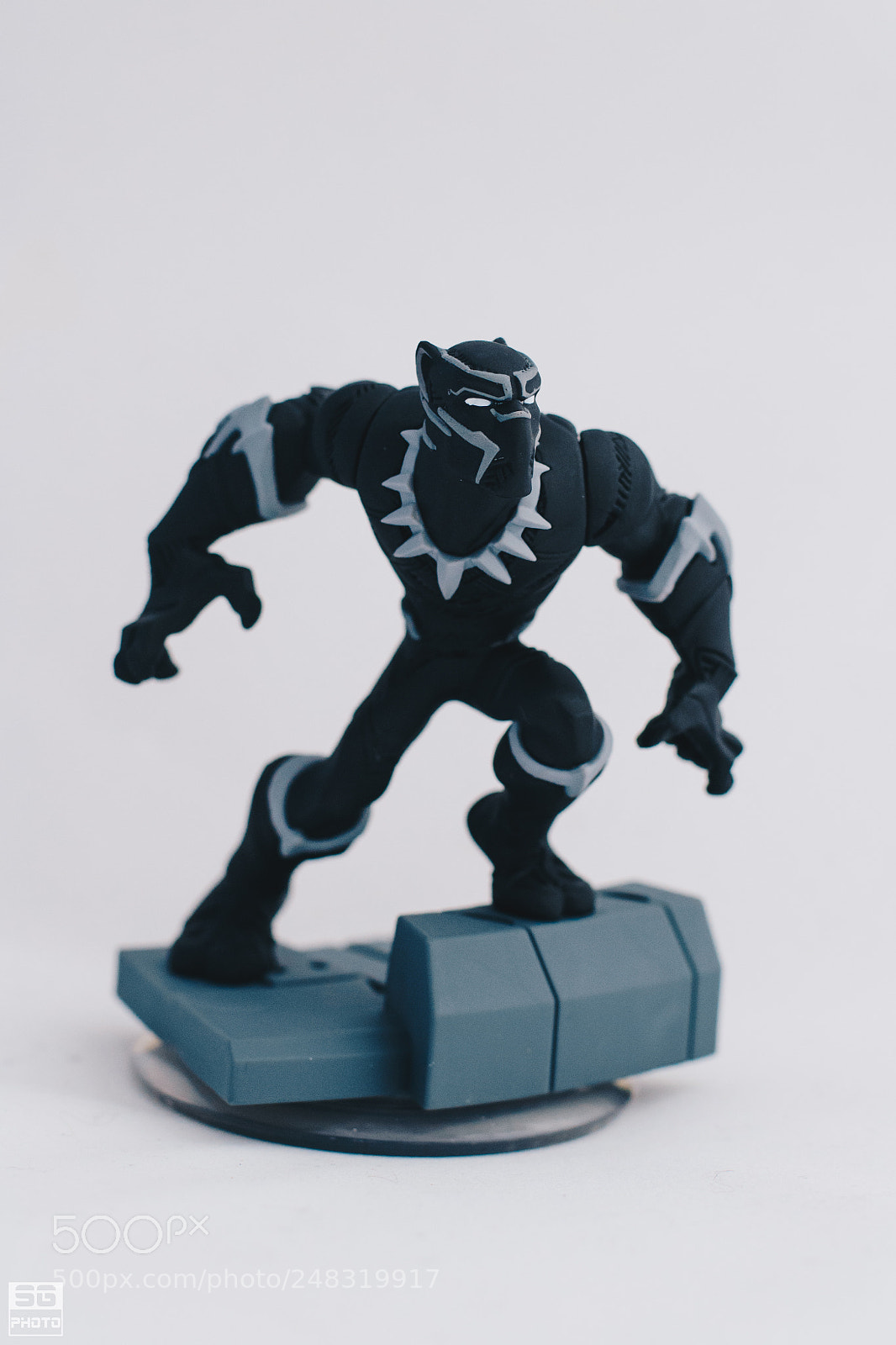 Nikon D3100 sample photo. Black panther photography