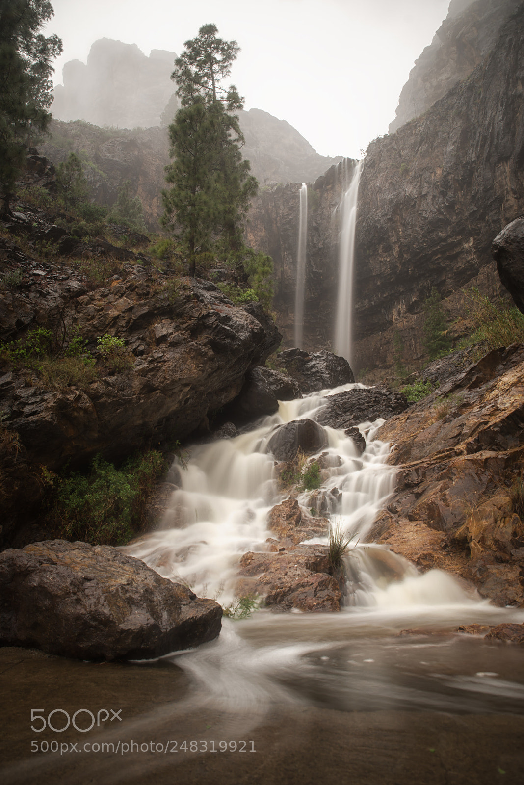 Nikon D610 sample photo. Dreaming fountain photography