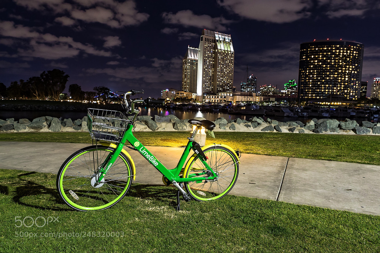 Canon EOS-1D X sample photo. Night • green photography
