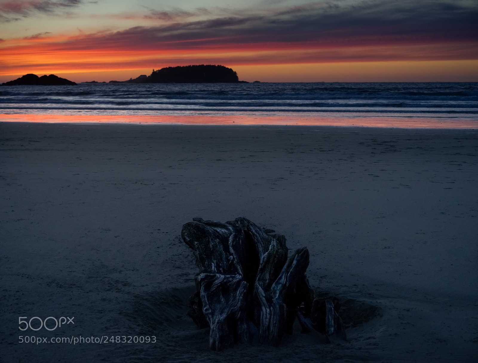 Sony a7 sample photo. Driftwood photography