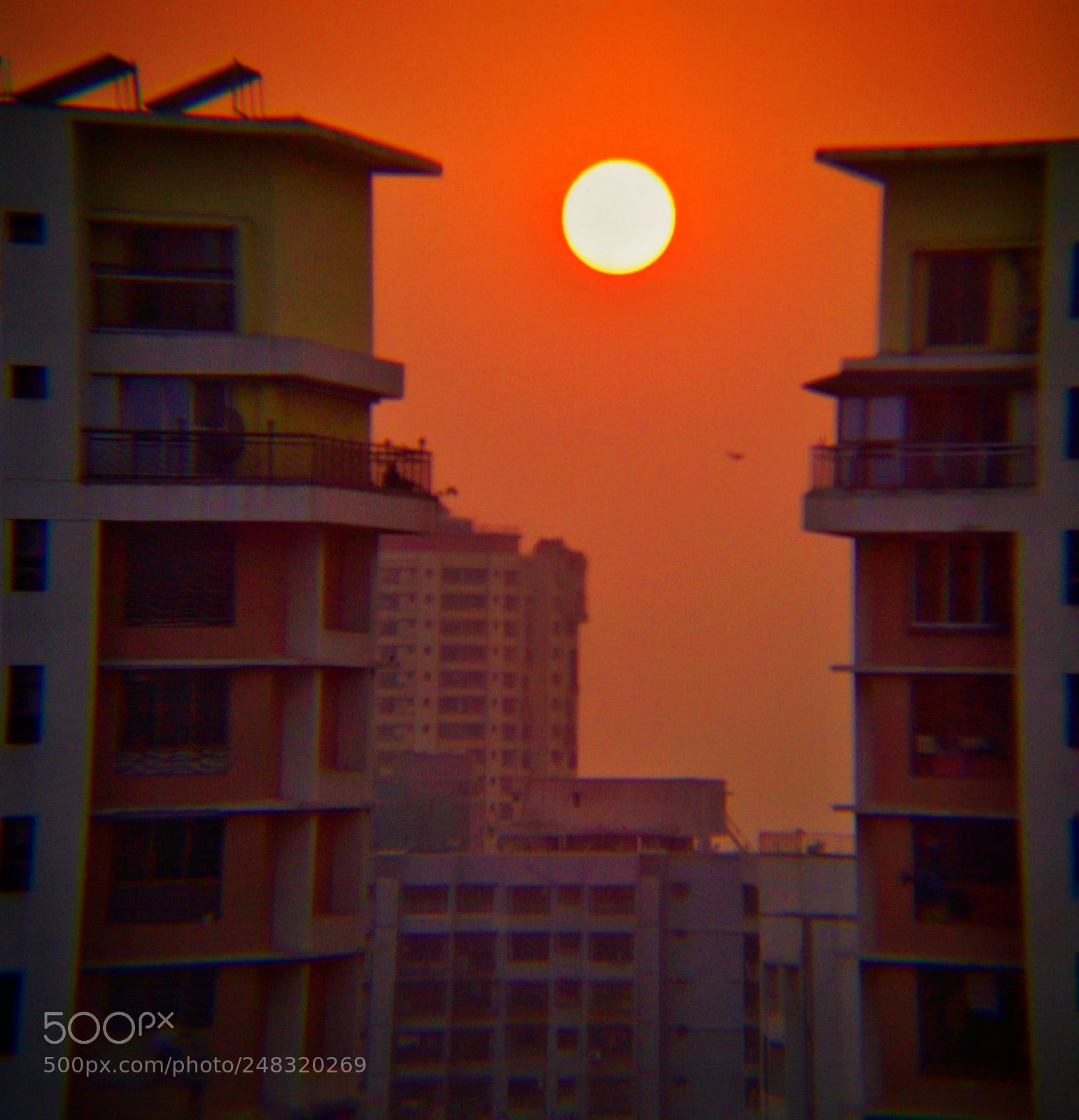 OPPO A37fw-International sample photo. The beautiful sunset clicked photography