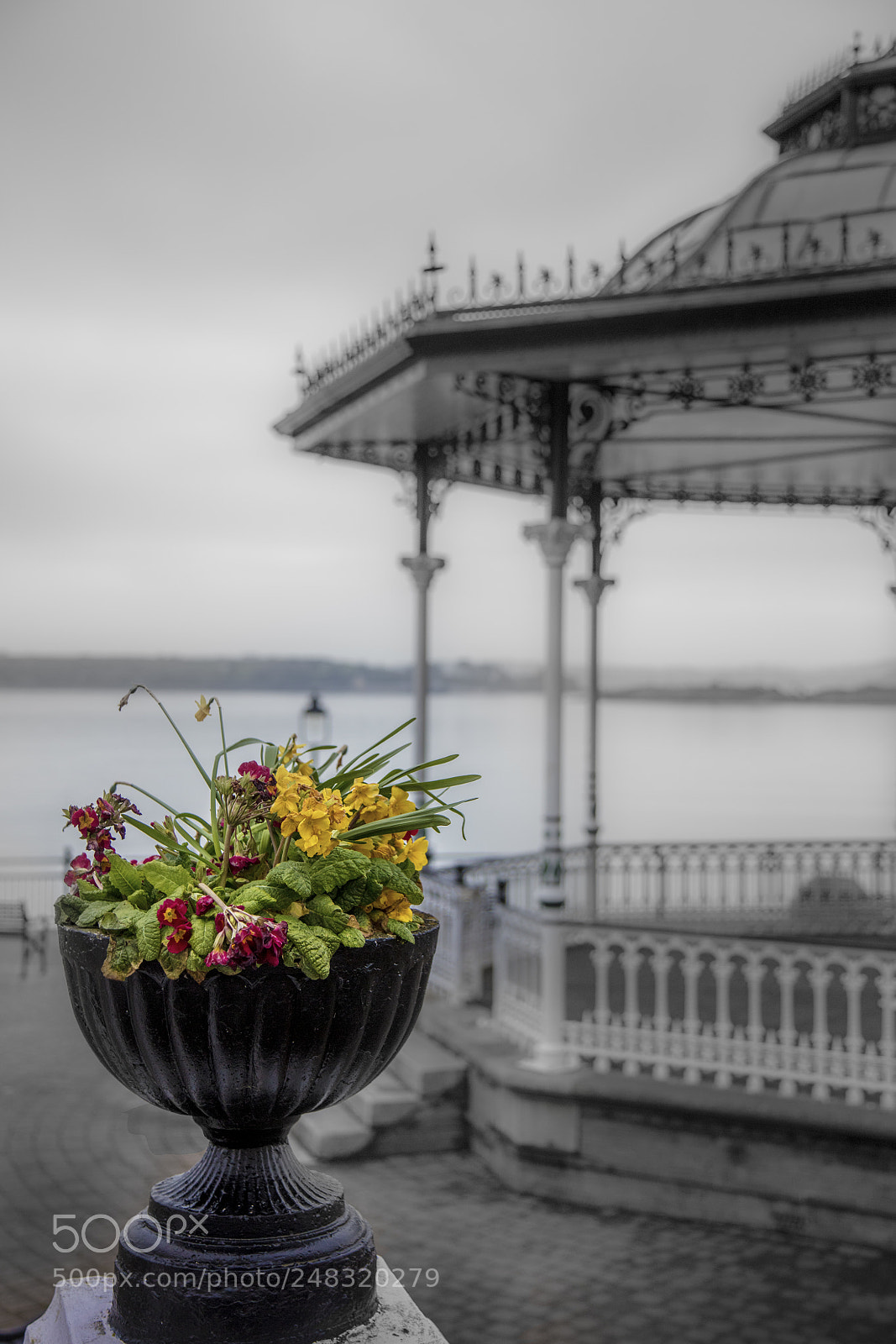 Canon EOS 5DS R sample photo. Flowers and kennedy park photography