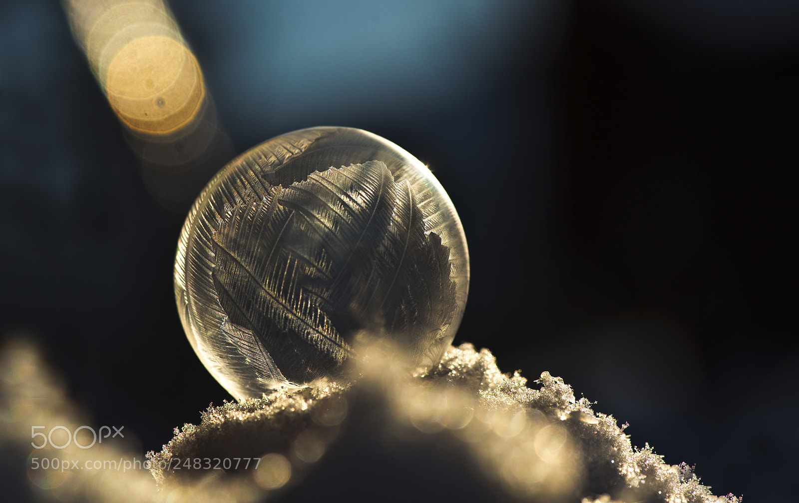 Nikon D800 sample photo. Bubble with icy pattern photography
